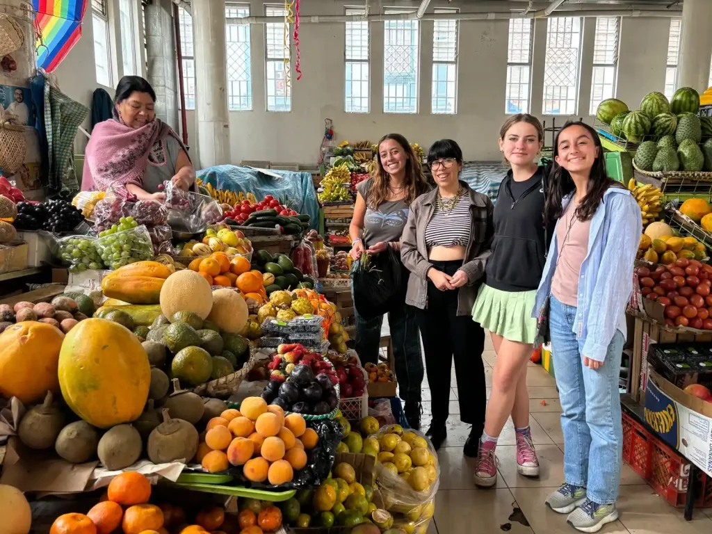 High School Spanish Immersion Market Ecuador